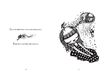 Couverture de l'album Chat siamois de Ciou