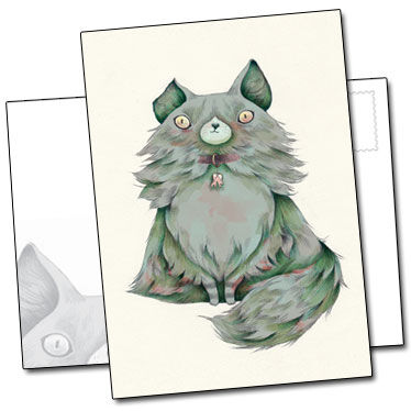 Chat angora et oreille cassée par Yohan Sacré