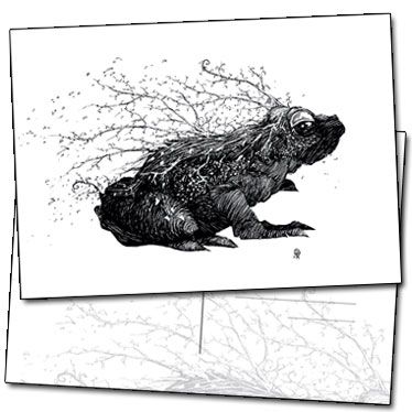 Illustration de la grenouille par Benjamin Basso sur carte postale